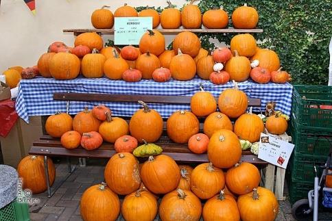 Bild "Willkommen:Bericht_Kuerbisfest_2025_0.jpg"