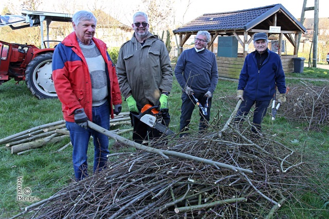 Bild "Willkommen:baumpflege2021_0512.jpg"